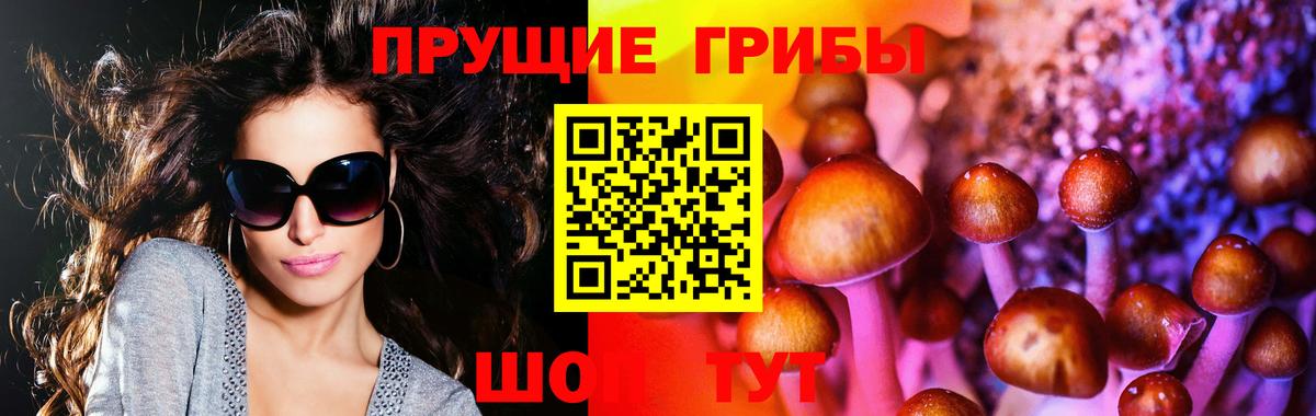 Галлюциногенные грибы Psilocybine cubensis  Вход с VPN  Псилоцибиновые грибы Psilocybine cubensis  Нягань 